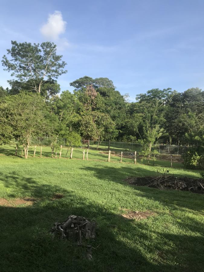 Villa Segura Manuel Antonio, Кепос Екстер'єр фото
